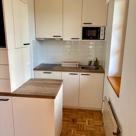 Casa de Férias Apartma Marjetica 47 *